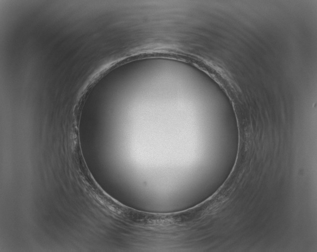 X0000083531363200702240007