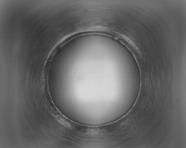 X0000083531364200702240007