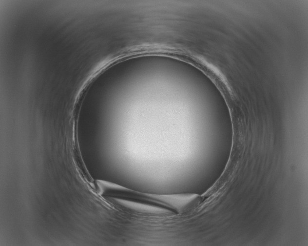 X0000083531365200702240007