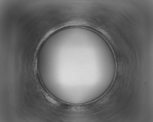 X0000083531366200702240007