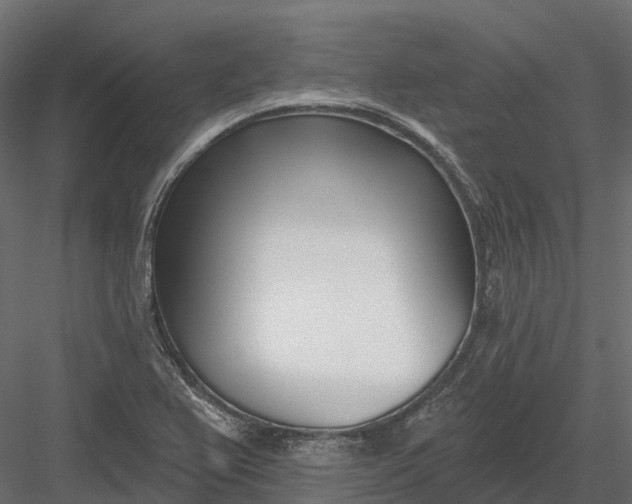 X0000083531367200702240007