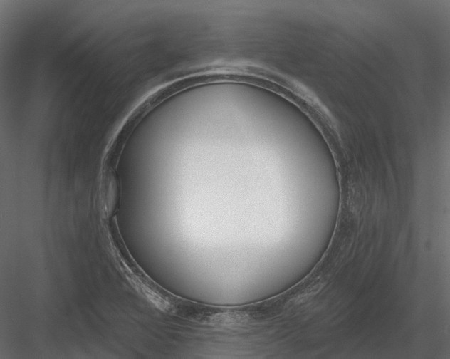 X0000083531368200702240007