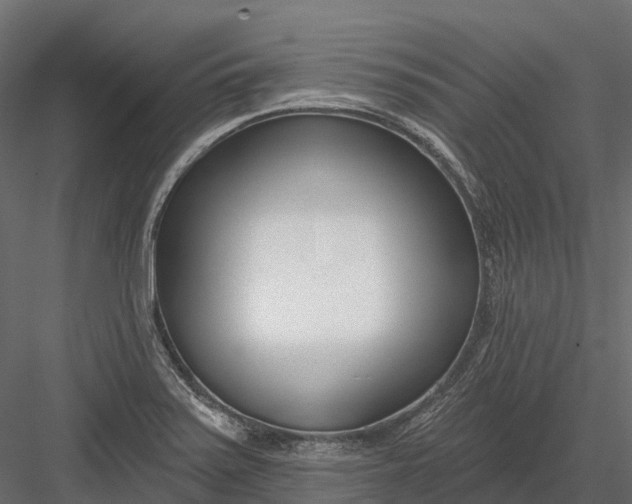 X0000083531371200702240007