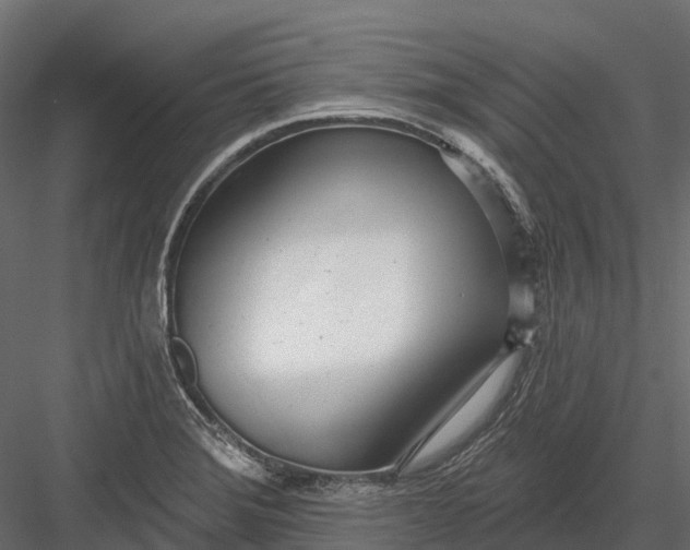 X0000083531372200702240007