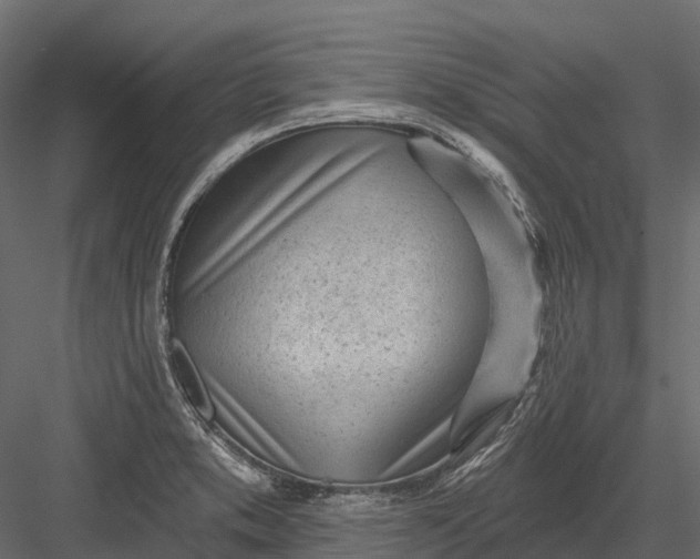 X0000083531373200702240007