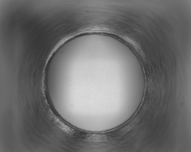 X0000083531374200702240007