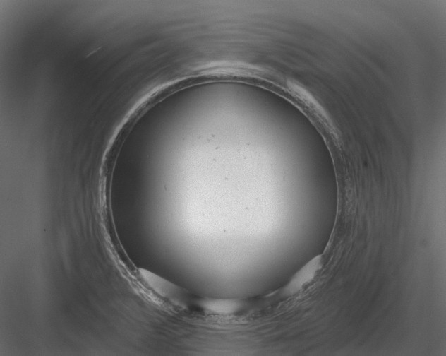 X0000083531376200702240007