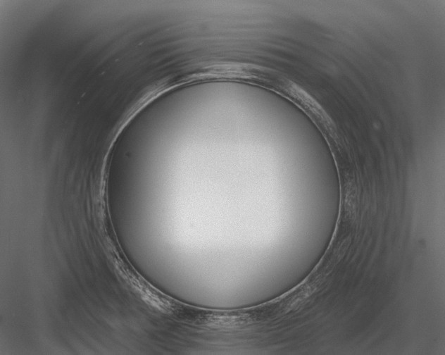 X0000083531378200702240007