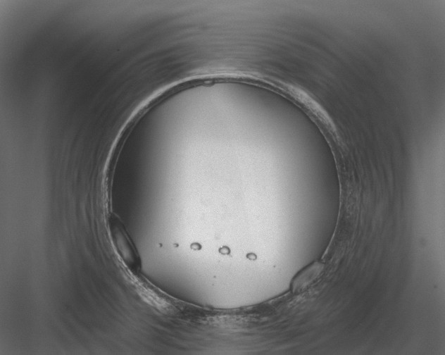 X0000083531380200702240007