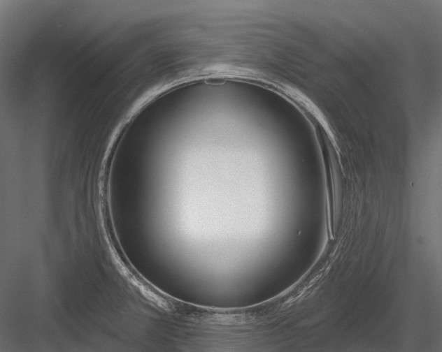 X0000083531381200702240007