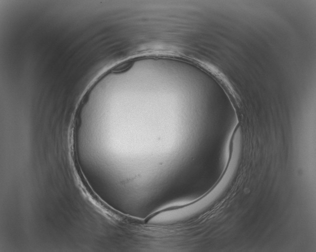 X0000083531383200702240007