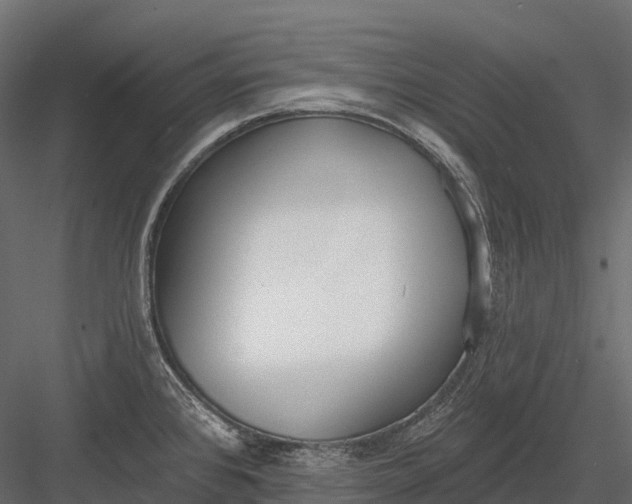 X0000083531384200702240006