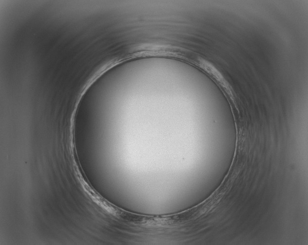 X0000083531386200702240006