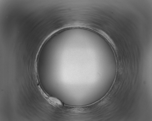 X0000083531388200702240006