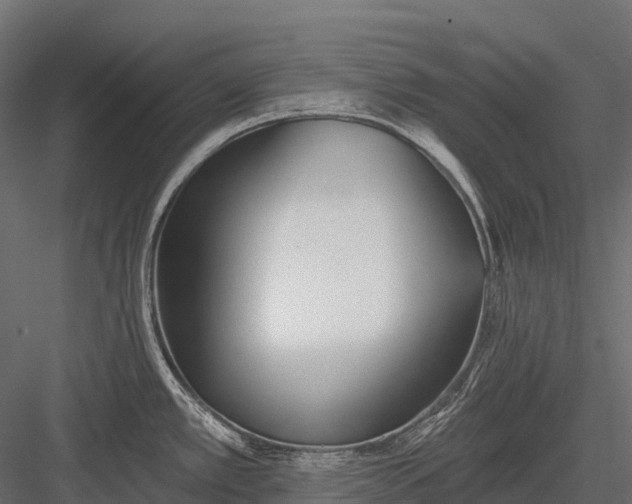 X0000083531389200702240006