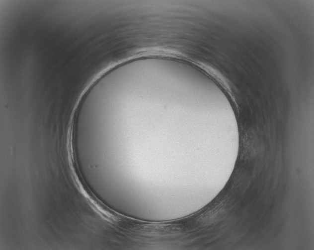 X0000083531391200702240006