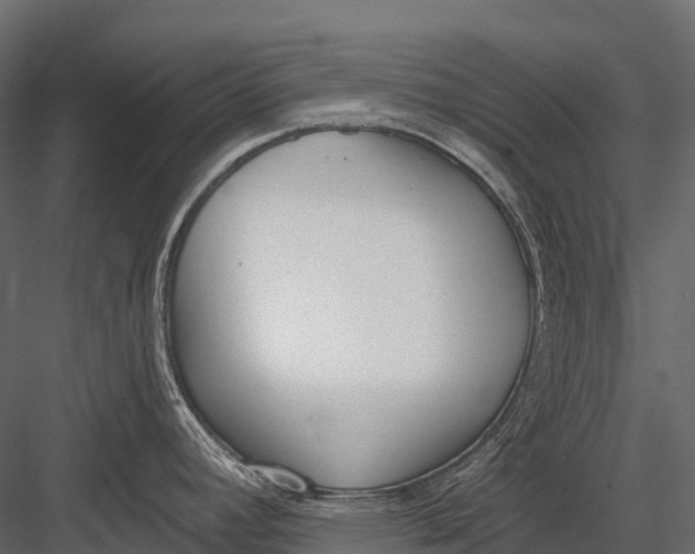 X0000083531392200702240006