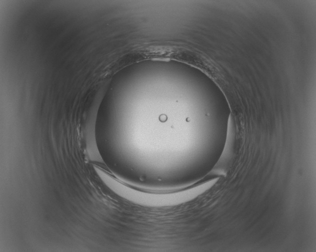 X0000083531394200702240006