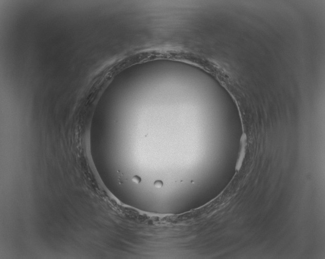 X0000083531398200702240006