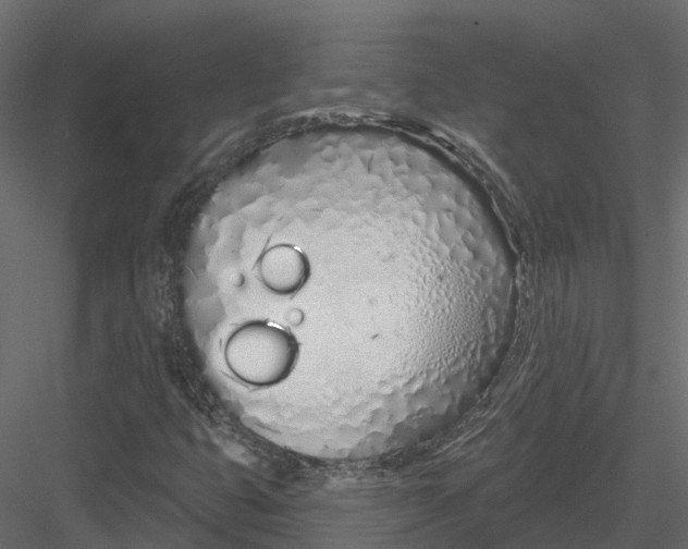 X0000083531399200702240006