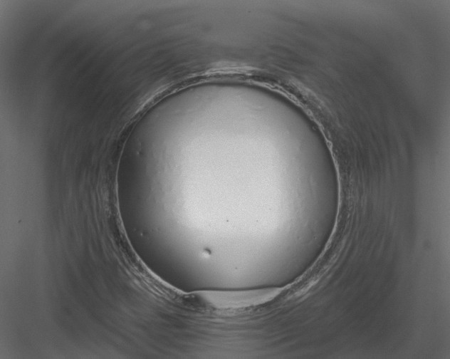 X0000083531401200702240006