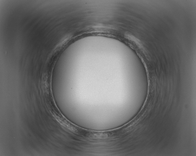 X0000083531403200702240006