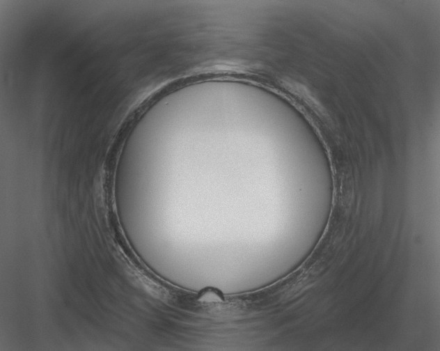 X0000083531404200702240006