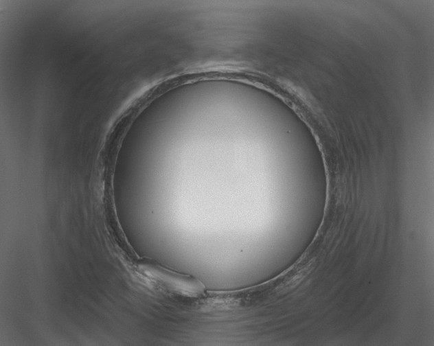 X0000083531406200702240006