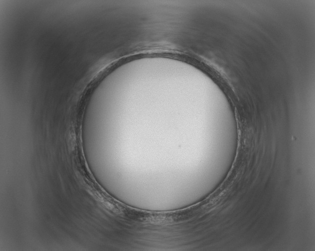 X0000083531407200702240006