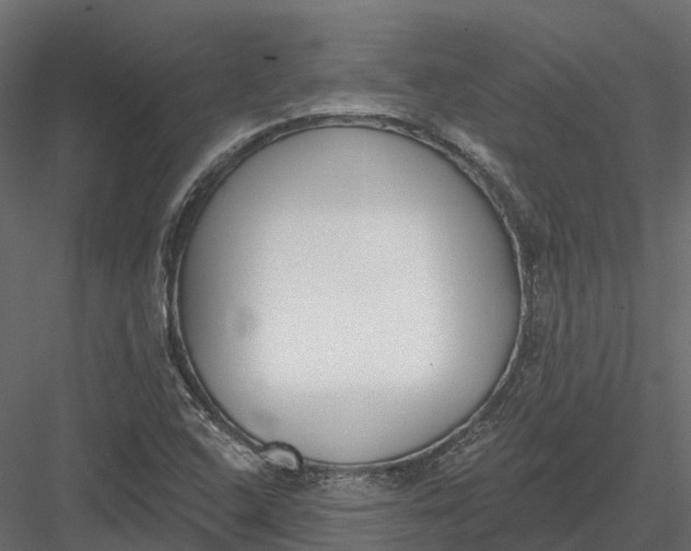 X0000083531408200702240006