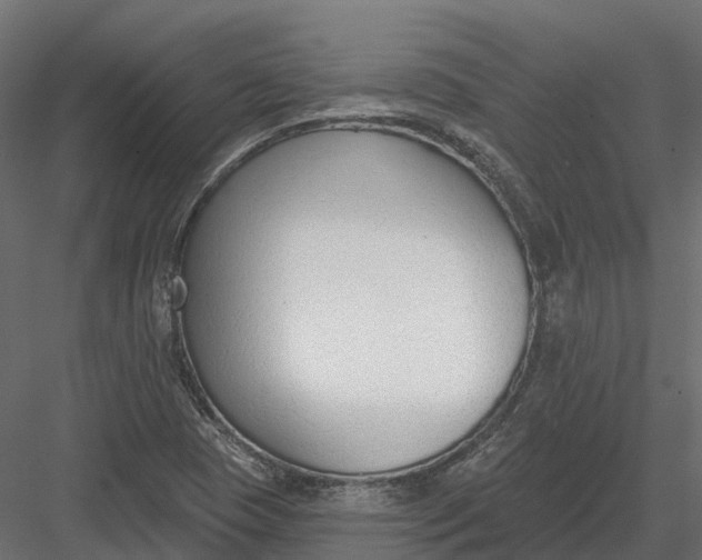 X0000083531409200702240006