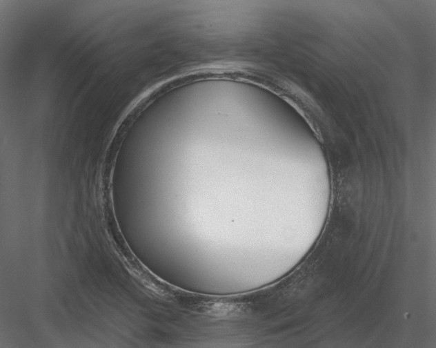 X0000083531412200702240006