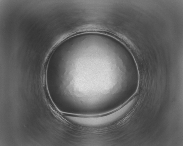 X0000083531413200702240006