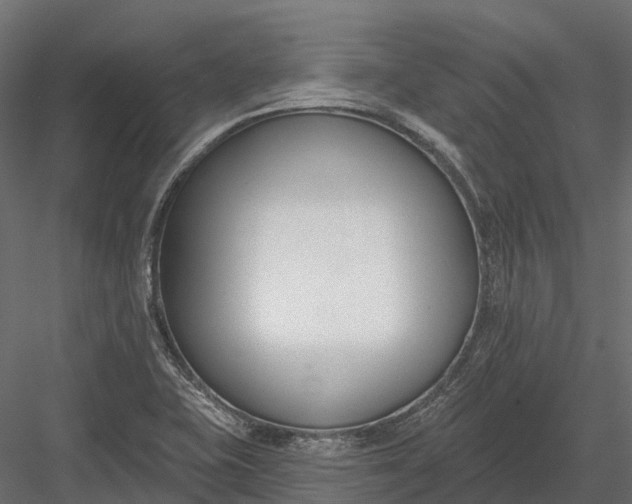 X0000083531415200702240006