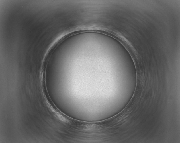 X0000083531416200702240006