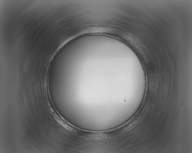 X0000083531417200702240006