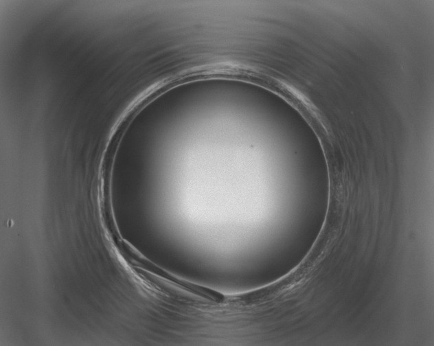 X0000083531418200702240006