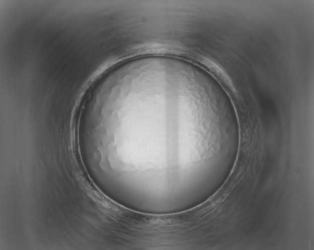 X0000083531419200702240006