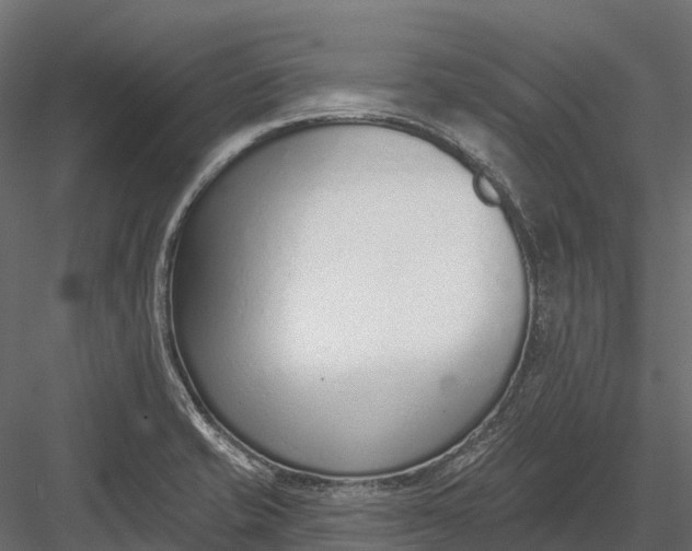 X0000083531421200702240006