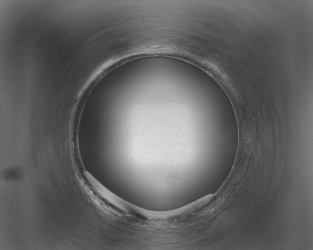 X0000083531422200702240006