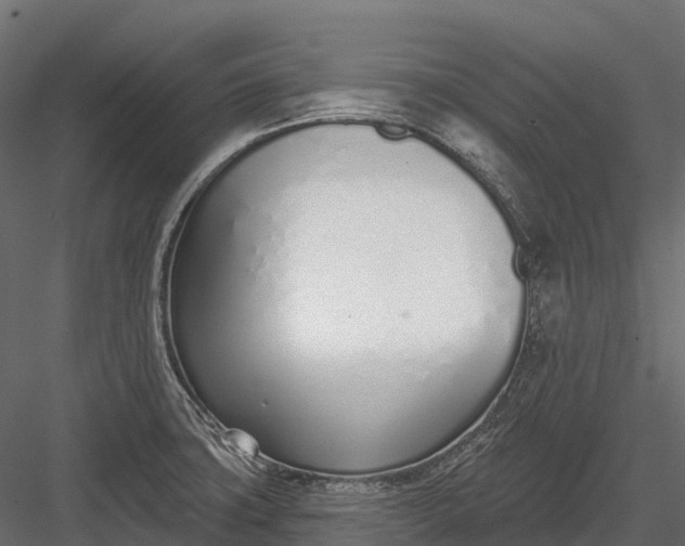 X0000083531427200702240006