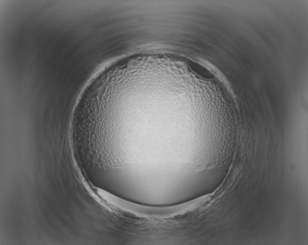 X0000083531429200702240006