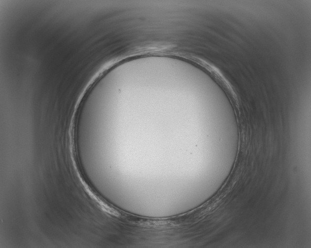 X0000083531432200702240006