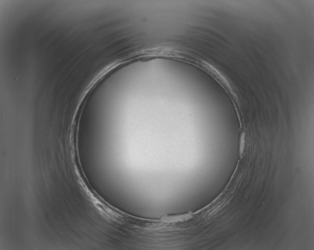 X0000083531434200702240006