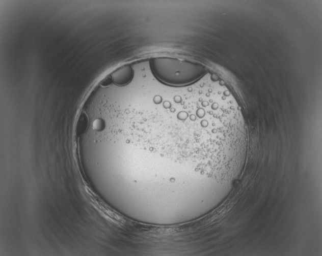 X0000083531435200702240006