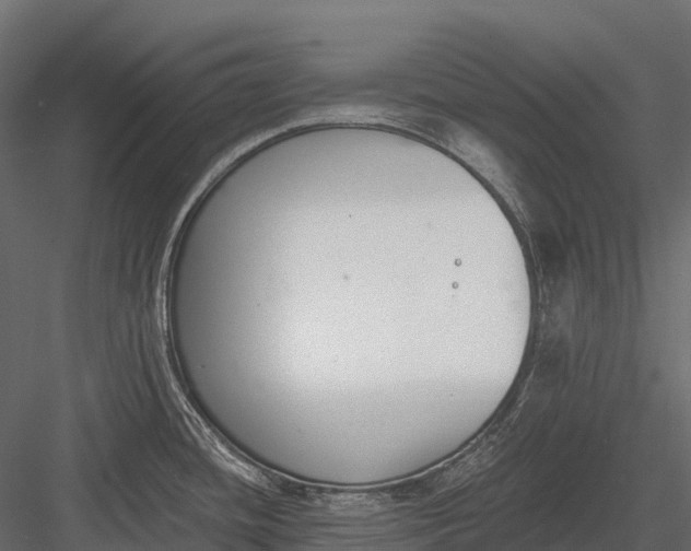 X0000083531436200702240006