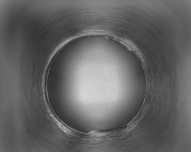 X0000083531438200702240006