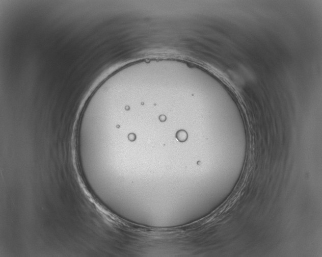 X0000083531440200702240006