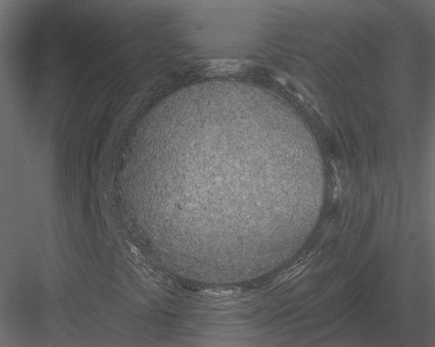 X0000083531441200702240006