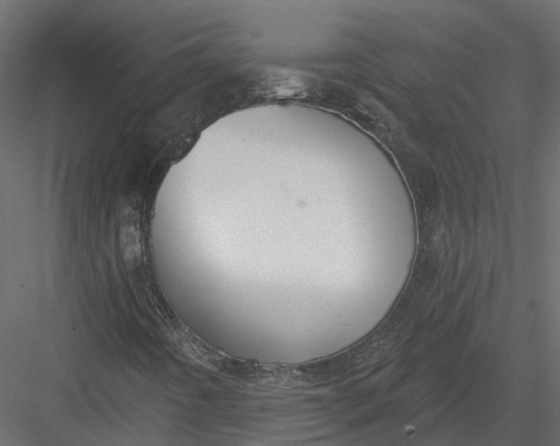 X0000083531442200702240005